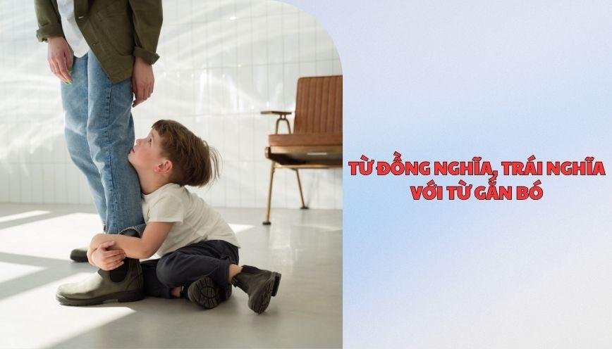 ​Từ đồng nghĩa, trái nghĩa với từ gắn bó