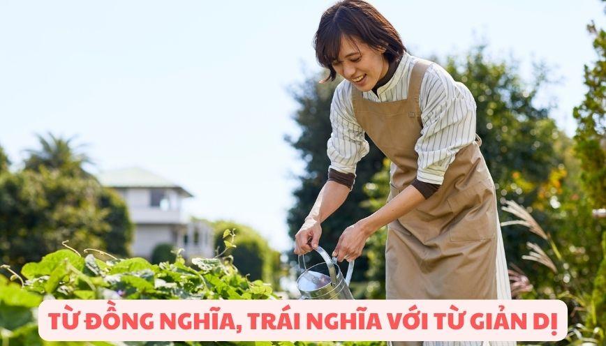 Hiểu đúng từ đồng nghĩa, trái nghĩa với từ giản dị