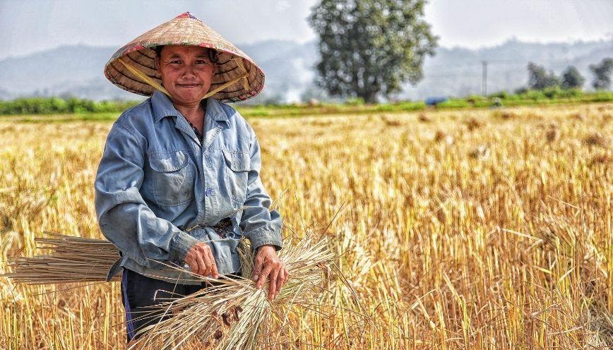 Bài tập ứng dụng từ đồng nghĩa, trái nghĩa