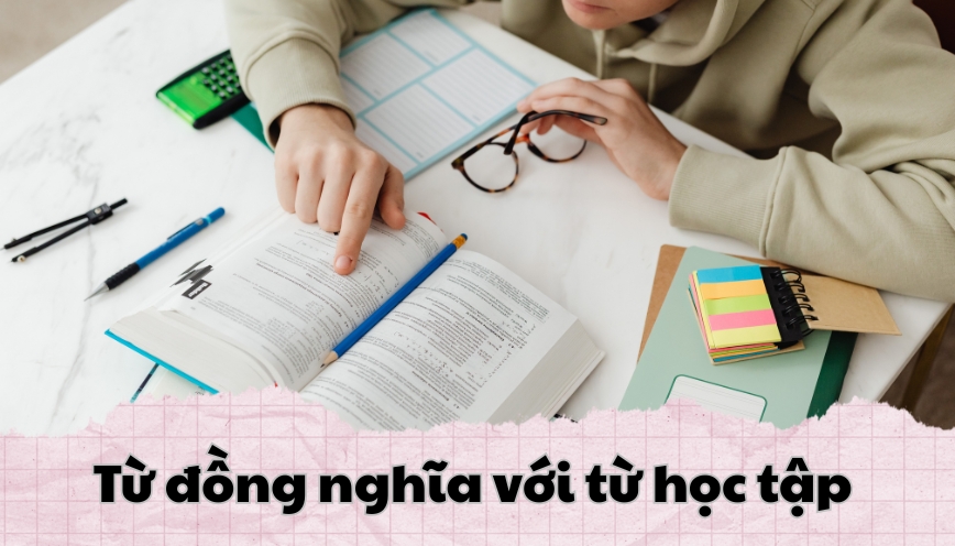 Từ đồng nghĩa với từ học tập