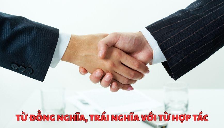 Hiểu đúng từ đồng nghĩa, trái nghĩa với từ hợp tác