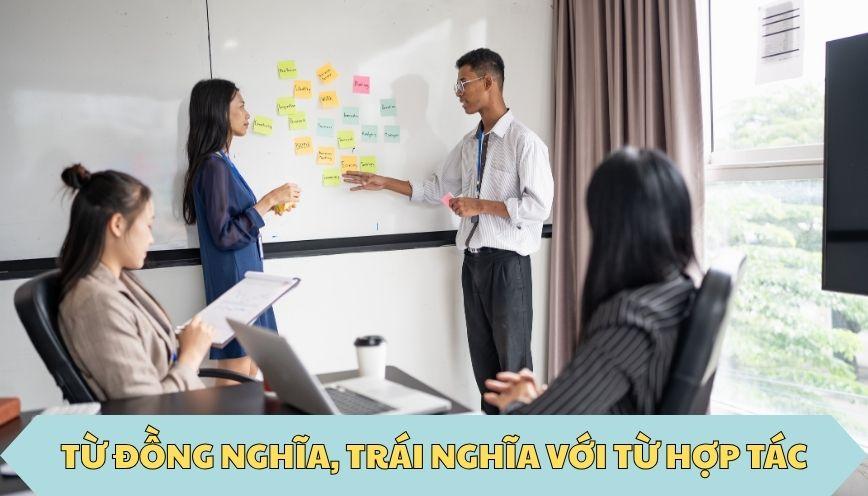 ​Từ đồng nghĩa, trái nghĩa với từ hợp tác