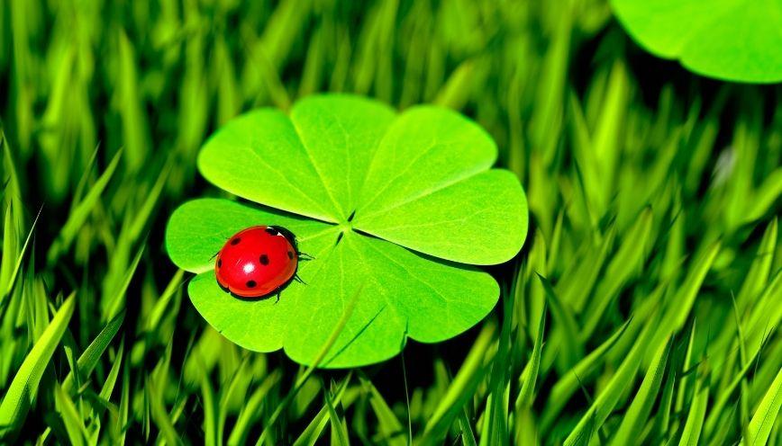 Các cách hiểu của từ may