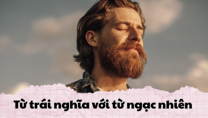 Từ trái nghĩa với từ ngạc nhiên