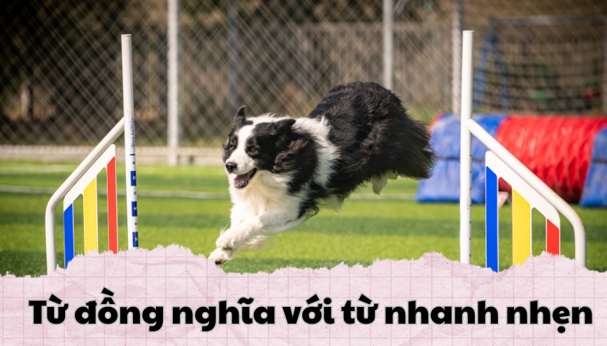 Từ đồng nghĩa với từ nhanh nhẹn