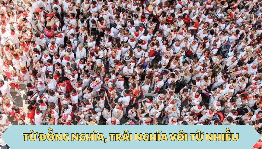 ​Từ đồng nghĩa, trái nghĩa với từ nhiều