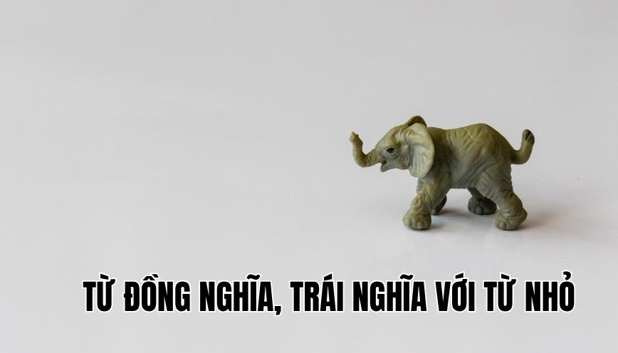 Từ đồng nghĩa, trái nghĩa với từ nhỏ