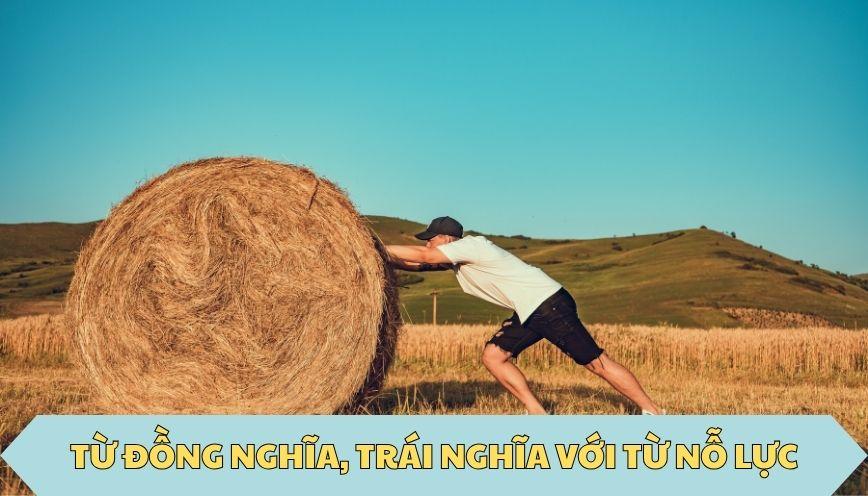 ​Từ đồng nghĩa, trái nghĩa với từ nỗ lực