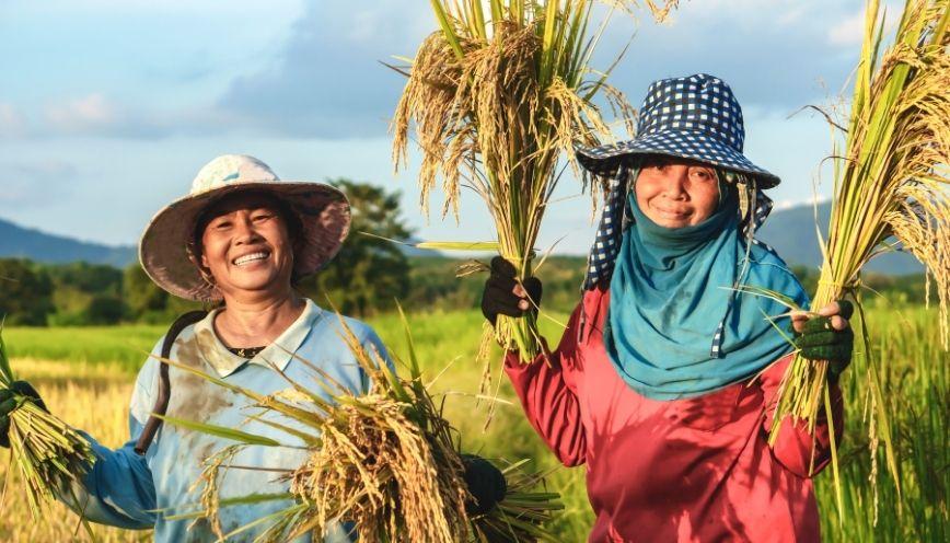 Các cách hiểu của từ rạng ngời
