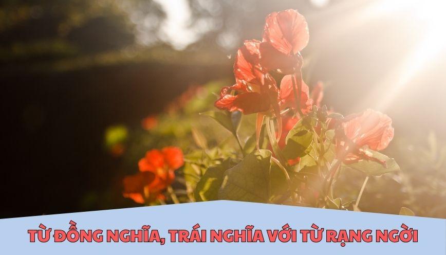 Từ đồng nghĩa, trái nghĩa với từ rạng ngời