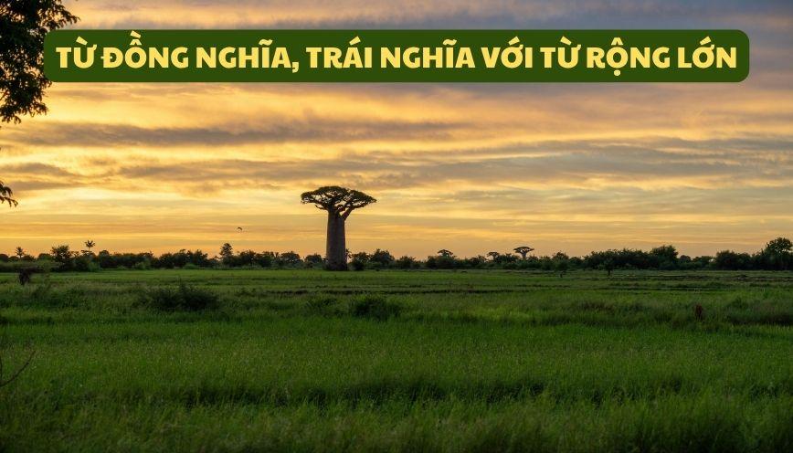 Hiểu đúng từ đồng nghĩa, trái nghĩa với từ rộng lớn