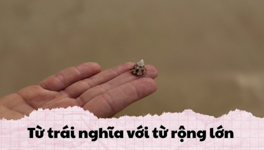 Từ trái nghĩa với từ rộng lớn