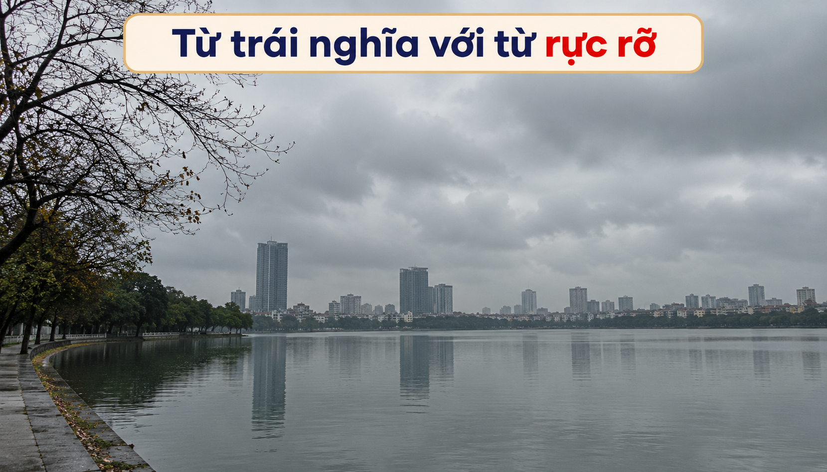 Từ trái nghĩa