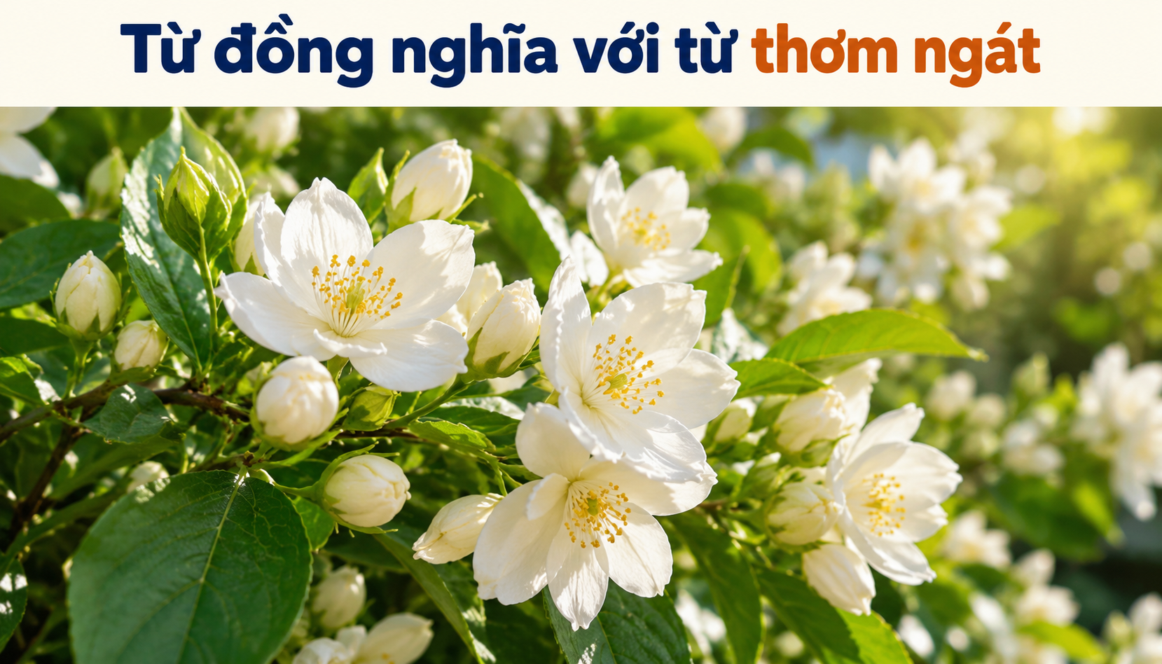 Từ đồng nghĩa của thơm ngát