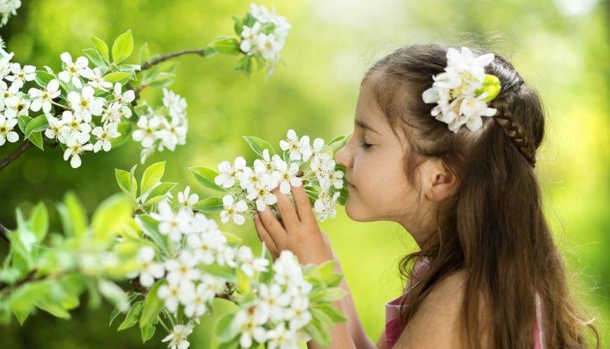 Bài tập ứng dụng từ đồng nghĩa, trái nghĩa