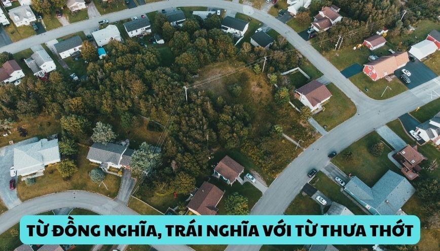 Hiểu rõ từ đồng nghĩa, trái nghĩa với từ thưa thớt