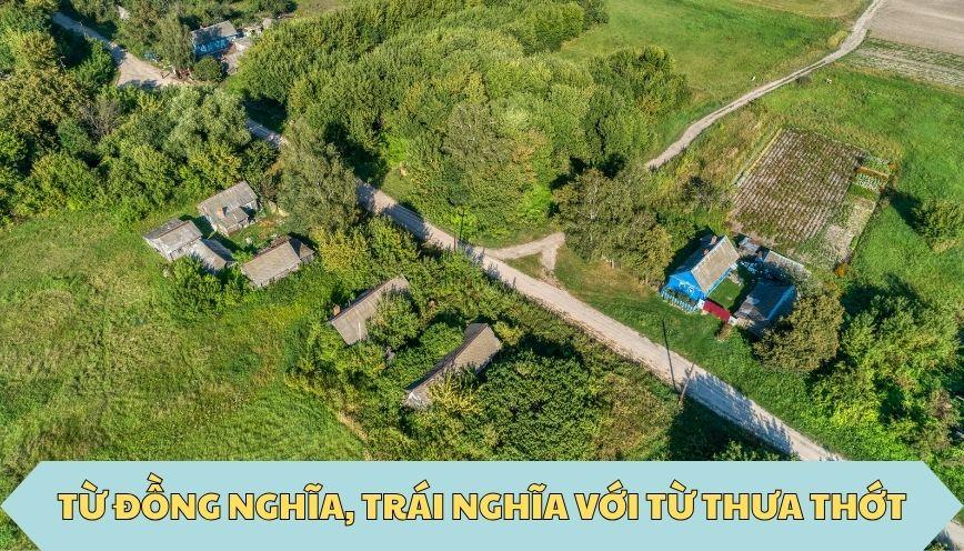 ​Từ đồng nghĩa, trái nghĩa với từ thưa thớt
