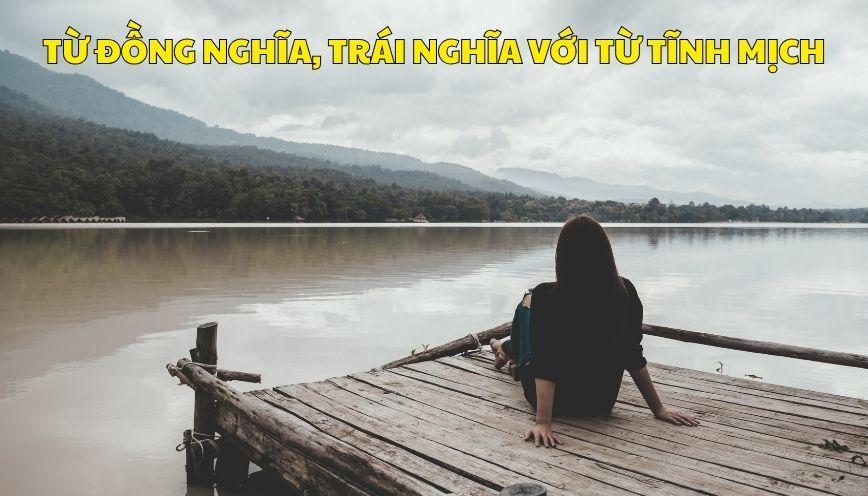 Hiểu đúng từ đồng nghĩa, trái nghĩa với từ tĩnh mịch