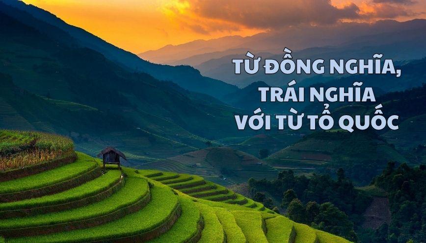 Từ đồng nghĩa, trái nghĩa với từ tổ quốc và cách dùng