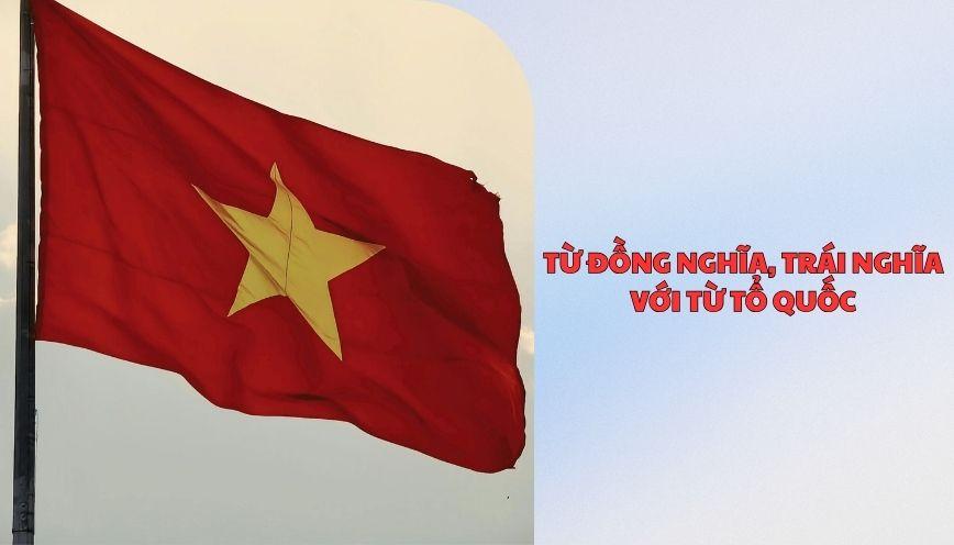 ​Từ đồng nghĩa, trái nghĩa với từ tổ quốc