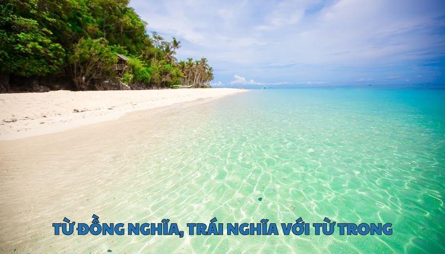 Hiểu đúng từ đồng nghĩa, trái nghĩa với từ trong