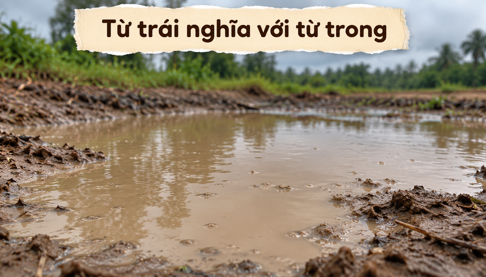 Từ trái nghĩa với từ trong