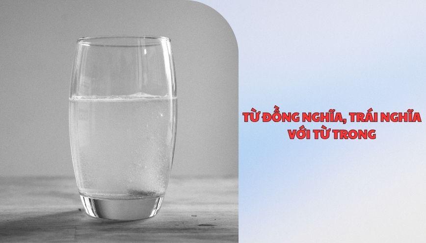 ​Từ đồng nghĩa, trái nghĩa với từ trong