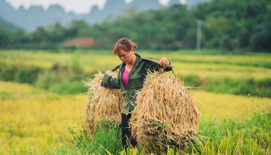 Bài tập về từ đồng nghĩa, trái nghĩa