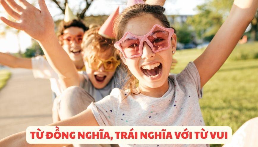 Từ đồng nghĩa, trái nghĩa với từ vui theo ngữ cảnh