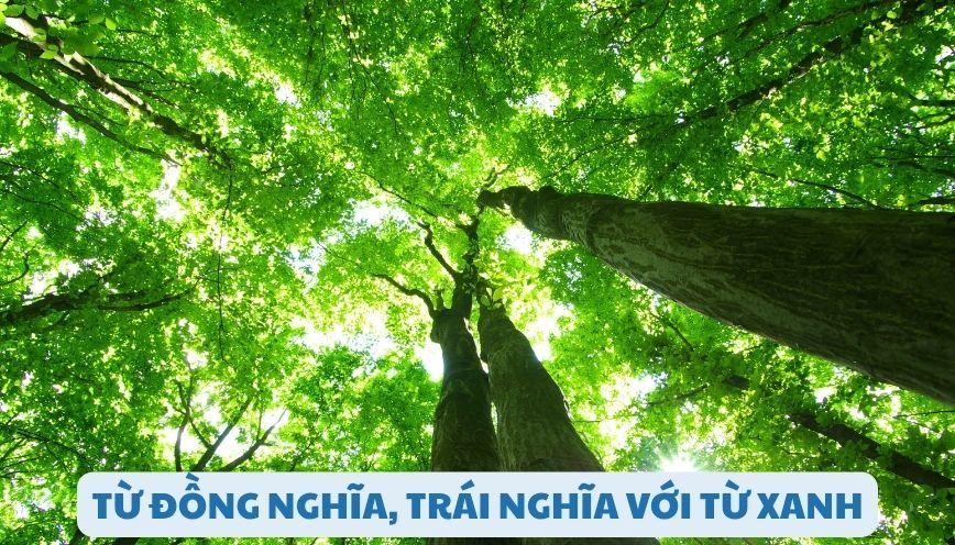 Phân biệt đúng từ đồng nghĩa, trái nghĩa với từ xanh