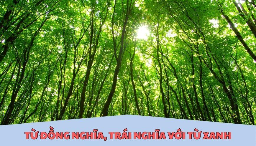 ​Từ đồng nghĩa, trái nghĩa với từ xanh