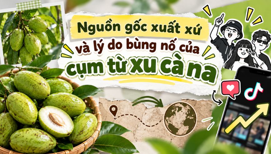 Nguồn gốc xuất xứ và lý do bùng nổ của cụm từ xu cà na