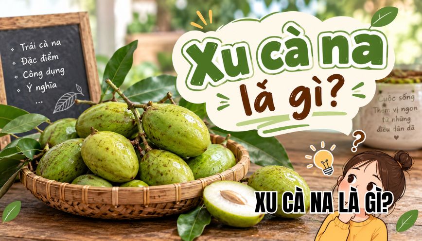 Xu cà na là gì